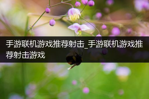 手游联机游戏推荐射击_手游联机游戏推荐射击游戏