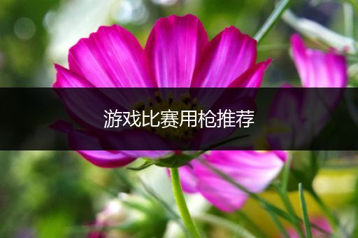 游戏比赛用枪推荐