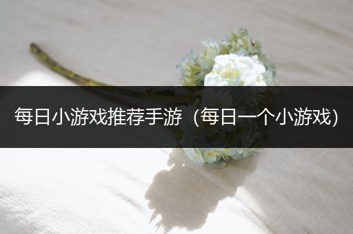 每日小游戏推荐手游（每日一个小游戏）