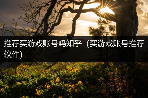 推荐买游戏账号吗知乎（买游戏账号推荐软件）