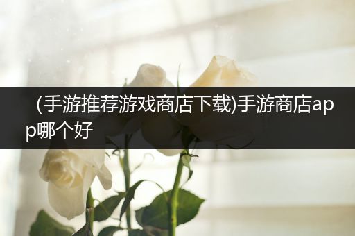 （手游推荐游戏商店下载)手游商店app哪个好