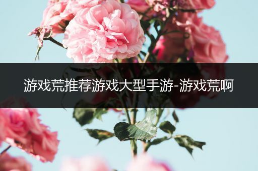 游戏荒推荐游戏大型手游-游戏荒啊