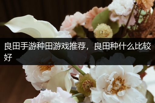 良田手游种田游戏推荐，良田种什么比较好