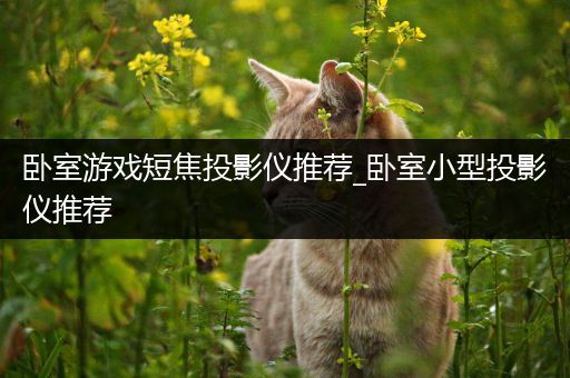 卧室游戏短焦投影仪推荐_卧室小型投影仪推荐
