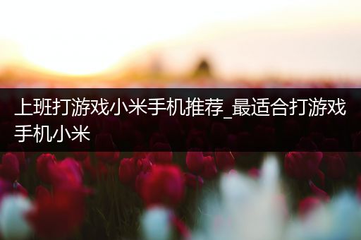 上班打游戏小米手机推荐_最适合打游戏手机小米
