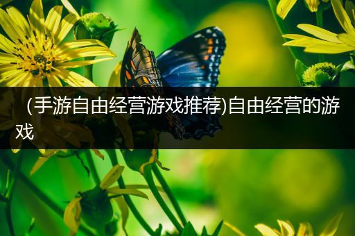 （手游自由经营游戏推荐)自由经营的游戏
