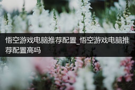 悟空游戏电脑推荐配置_悟空游戏电脑推荐配置高吗