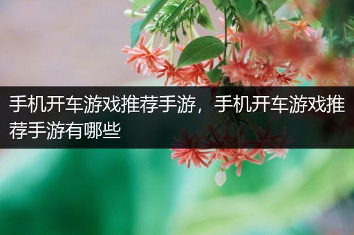 手机开车游戏推荐手游，手机开车游戏推荐手游有哪些