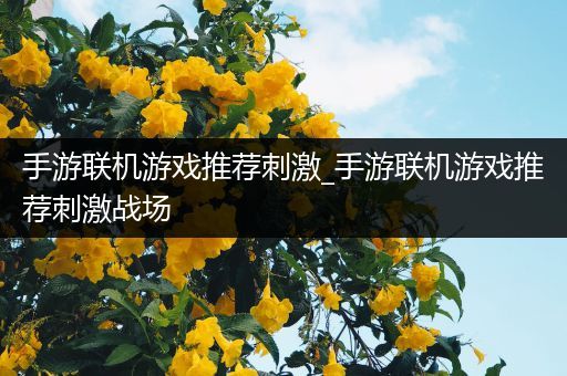 手游联机游戏推荐刺激_手游联机游戏推荐刺激战场