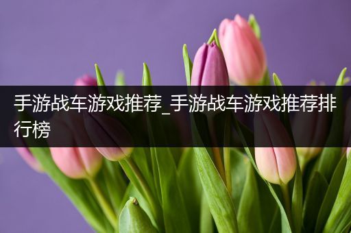 手游战车游戏推荐_手游战车游戏推荐排行榜