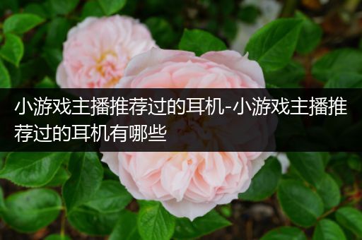 小游戏主播推荐过的耳机-小游戏主播推荐过的耳机有哪些