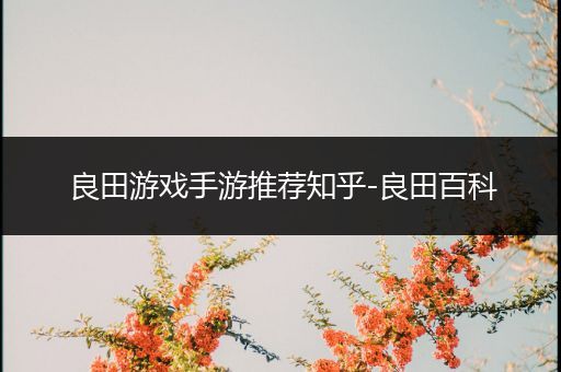 良田游戏手游推荐知乎-良田百科