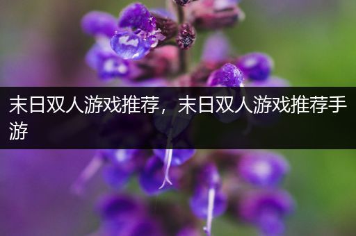 末日双人游戏推荐，末日双人游戏推荐手游
