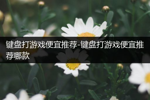 键盘打游戏便宜推荐-键盘打游戏便宜推荐哪款