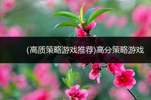 （高质策略游戏推荐)高分策略游戏