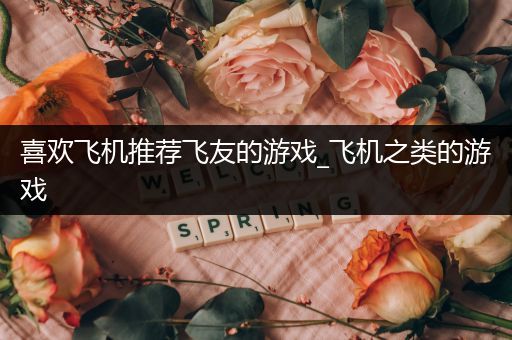 喜欢飞机推荐飞友的游戏_飞机之类的游戏