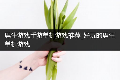 男生游戏手游单机游戏推荐_好玩的男生单机游戏