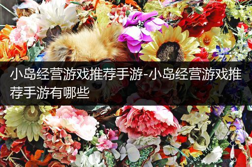 小岛经营游戏推荐手游-小岛经营游戏推荐手游有哪些
