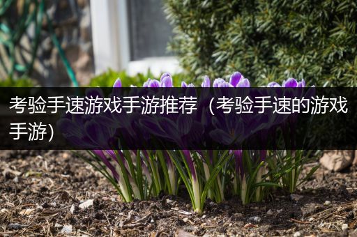 考验手速游戏手游推荐（考验手速的游戏手游）