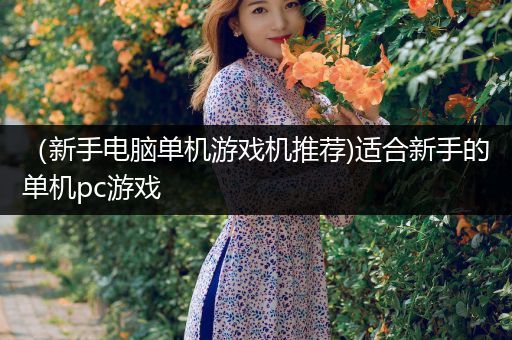 （新手电脑单机游戏机推荐)适合新手的单机pc游戏