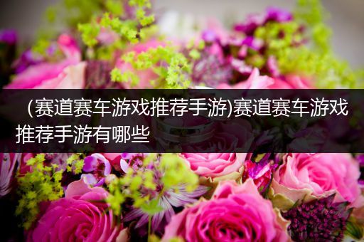 （赛道赛车游戏推荐手游)赛道赛车游戏推荐手游有哪些