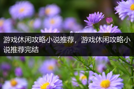 游戏休闲攻略小说推荐，游戏休闲攻略小说推荐完结