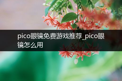 pico眼镜免费游戏推荐_pico眼镜怎么用