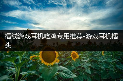 插线游戏耳机吃鸡专用推荐-游戏耳机插头