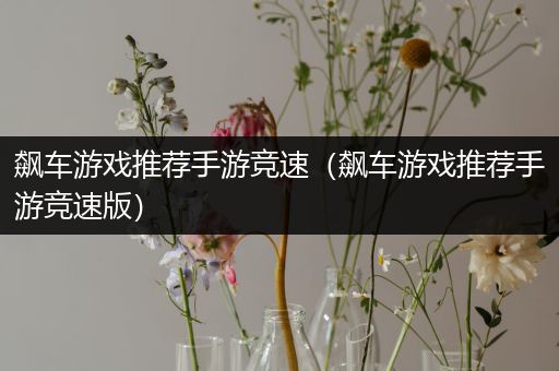 飙车游戏推荐手游竞速（飙车游戏推荐手游竞速版）
