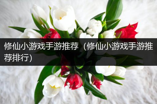 修仙小游戏手游推荐（修仙小游戏手游推荐排行）