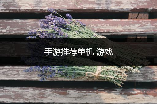 手游推荐单机 游戏