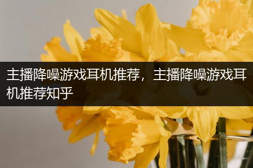 主播降噪游戏耳机推荐，主播降噪游戏耳机推荐知乎