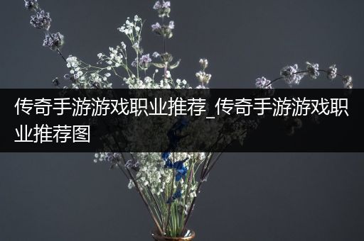 传奇手游游戏职业推荐_传奇手游游戏职业推荐图
