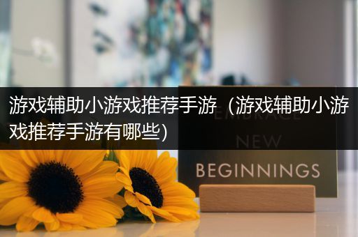 游戏辅助小游戏推荐手游（游戏辅助小游戏推荐手游有哪些）
