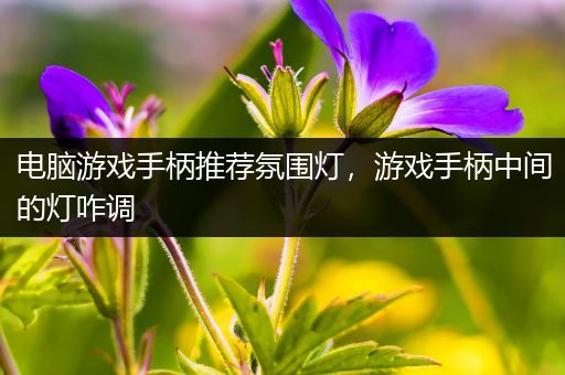 电脑游戏手柄推荐氛围灯，游戏手柄中间的灯咋调