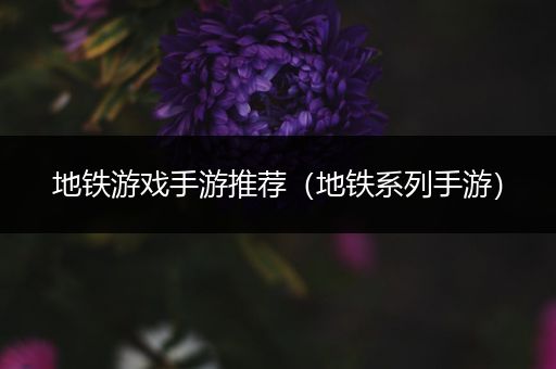 地铁游戏手游推荐（地铁系列手游）