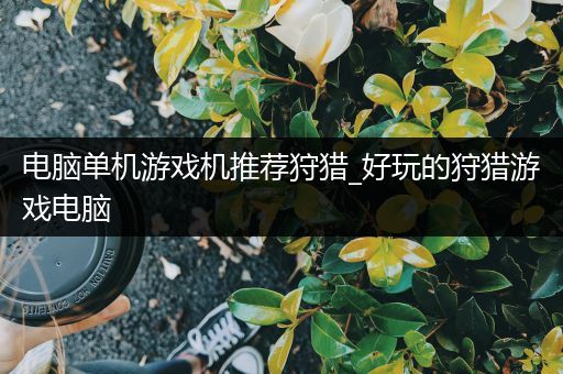 电脑单机游戏机推荐狩猎_好玩的狩猎游戏电脑