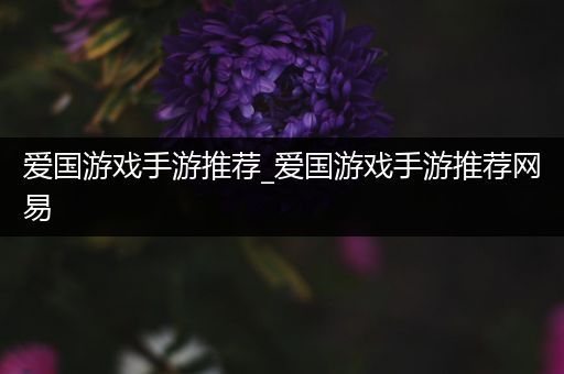 爱国游戏手游推荐_爱国游戏手游推荐网易