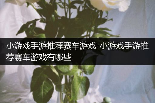 小游戏手游推荐赛车游戏-小游戏手游推荐赛车游戏有哪些