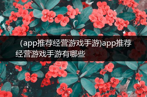 （app推荐经营游戏手游)app推荐经营游戏手游有哪些