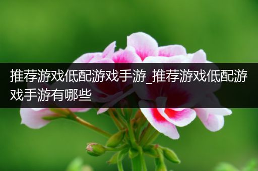 推荐游戏低配游戏手游_推荐游戏低配游戏手游有哪些