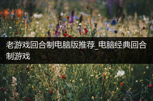 老游戏回合制电脑版推荐_电脑经典回合制游戏