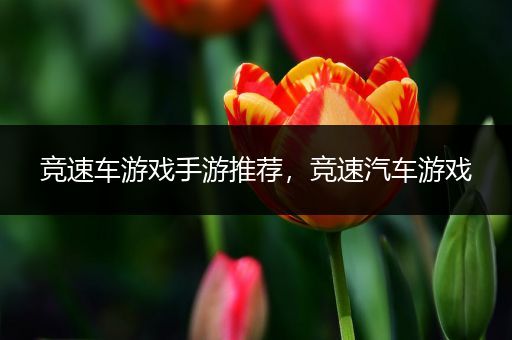 竞速车游戏手游推荐，竞速汽车游戏