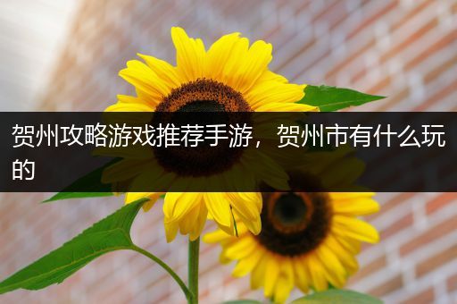 贺州攻略游戏推荐手游，贺州市有什么玩的