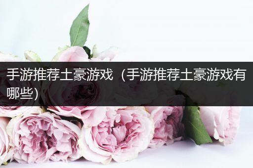 手游推荐土豪游戏（手游推荐土豪游戏有哪些）