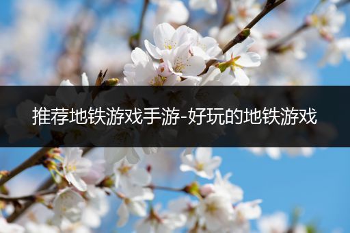 推荐地铁游戏手游-好玩的地铁游戏