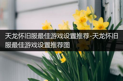 天龙怀旧服最佳游戏设置推荐-天龙怀旧服最佳游戏设置推荐图