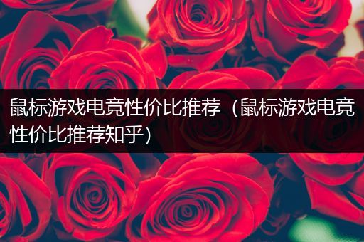 鼠标游戏电竞性价比推荐（鼠标游戏电竞性价比推荐知乎）