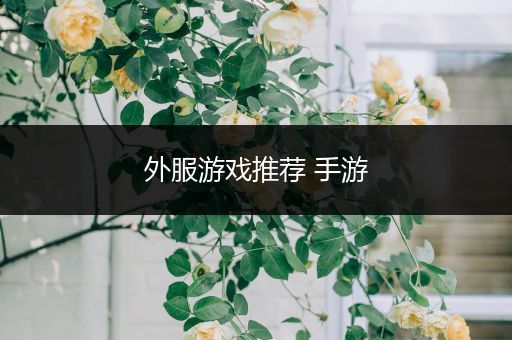 外服游戏推荐 手游