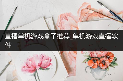 直播单机游戏盒子推荐_单机游戏直播软件